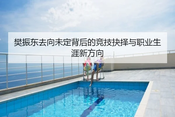 樊振东去向未定背后的竞技抉择与职业生涯新方向